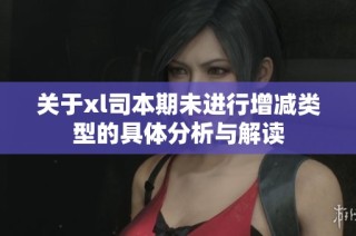 关于xl司本期未进行增减类型的具体分析与解读