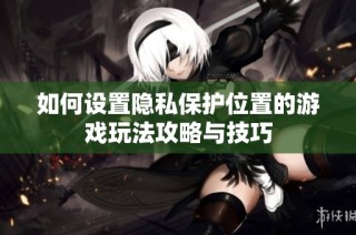 如何设置隐私保护位置的游戏玩法攻略与技巧