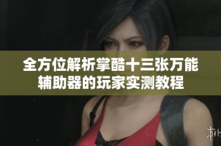 全方位解析掌酷十三张万能辅助器的玩家实测教程