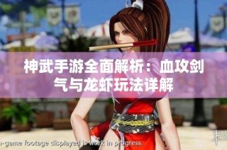 神武手游全面解析：血攻剑气与龙虾玩法详解