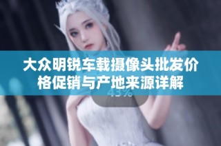大众明锐车载摄像头批发价格促销与产地来源详解