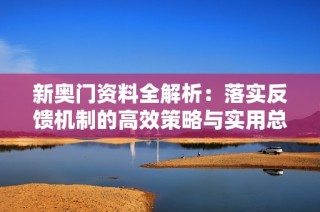 新奥门资料全解析：落实反馈机制的高效策略与实用总结