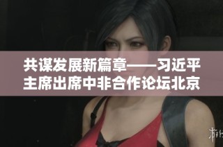 共谋发展新篇章——习近平主席出席中非合作论坛北京峰会回顾