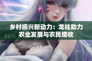 乡村振兴新动力：龙柱助力农业发展与农民增收