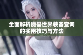 全面解析魔兽世界装备查询的实用技巧与方法