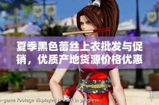 夏季黑色蕾丝上衣批发与促销，优质产地货源价格优惠，尽显时尚魅力