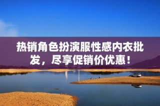 热销角色扮演服性感内衣批发，尽享促销价优惠！