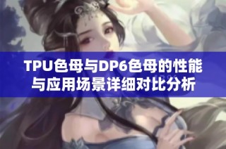 TPU色母与DP6色母的性能与应用场景详细对比分析