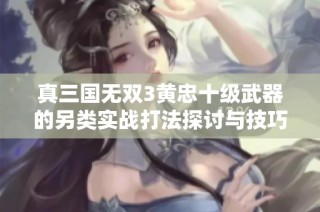 真三国无双3黄忠十级武器的另类实战打法探讨与技巧分析