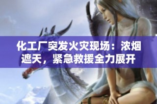 化工厂突发火灾现场：浓烟遮天，紧急救援全力展开