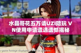 水晶哥花五万请UZI陪玩 VN使用申请遭遇遗憾揭秘