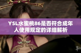 YSL水蜜桃86是否符合成年人使用规定的详细解析