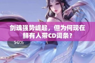 剑魂强势崛起，但为何现在鲜有人带CD词条？