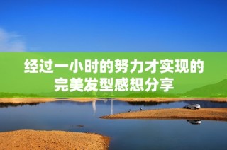 经过一小时的努力才实现的完美发型感想分享