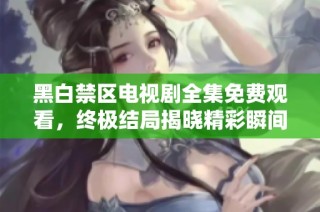 黑白禁区电视剧全集免费观看，终极结局揭晓精彩瞬间回顾