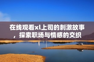 在线观看xl上司的刺激故事，探索职场与情感的交织