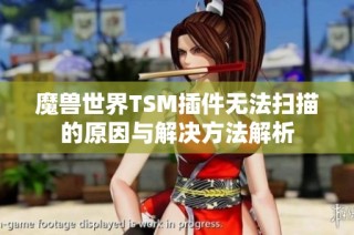 魔兽世界TSM插件无法扫描的原因与解决方法解析