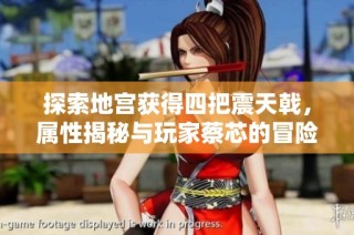 探索地宫获得四把震天戟，属性揭秘与玩家蔡芯的冒险之旅