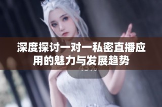 深度探讨一对一私密直播应用的魅力与发展趋势