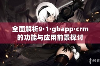 全面解析9·1·gbapp·crm的功能与应用前景探讨