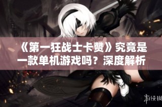 《第一狂战士卡赞》究竟是一款单机游戏吗？深度解析与探讨