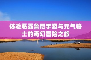 体验恶霸鲁尼手游与元气骑士的奇幻冒险之旅