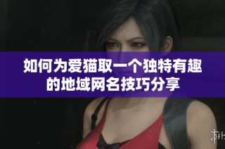 如何为爱猫取一个独特有趣的地域网名技巧分享