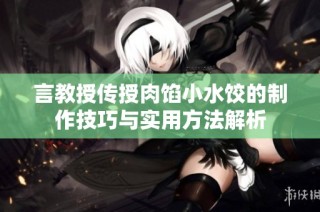 言教授传授肉馅小水饺的制作技巧与实用方法解析