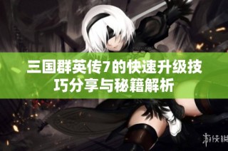 三国群英传7的快速升级技巧分享与秘籍解析