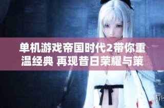 单机游戏帝国时代2带你重温经典 再现昔日荣耀与策略魅力
