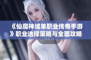 《仙魔神域单职业传奇手游》职业选择策略与全面攻略详解