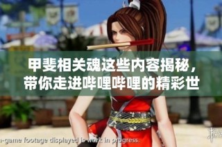 甲斐相关魂这些内容揭秘，带你走进哔哩哔哩的精彩世界