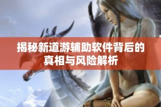 揭秘新道游辅助软件背后的真相与风险解析