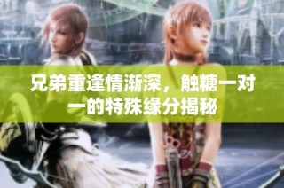 兄弟重逢情渐深，触糖一对一的特殊缘分揭秘