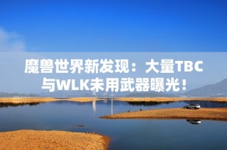 魔兽世界新发现：大量TBC与WLK未用武器曝光！