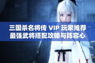 三国杀名将传 VIP 玩家推荐最强武将搭配攻略与阵容心得分享