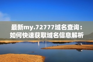 最新my.72777域名查询：如何快速获取域名信息解析
