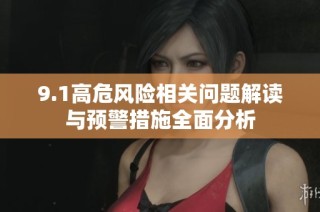 9.1高危风险相关问题解读与预警措施全面分析