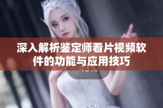 深入解析鉴定师看片视频软件的功能与应用技巧