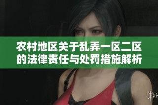 农村地区关于乱弄一区二区的法律责任与处罚措施解析