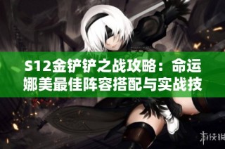 S12金铲铲之战攻略：命运娜美最佳阵容搭配与实战技巧解析