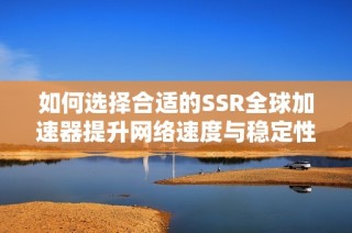 如何选择合适的SSR全球加速器提升网络速度与稳定性
