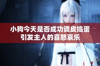 小狗今天是否成功调皮捣蛋引发主人的喜怒哀乐