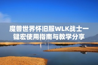 魔兽世界怀旧服WLK战士一键宏使用指南与教学分享