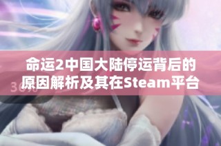 命运2中国大陆停运背后的原因解析及其在Steam平台复兴的前景探讨