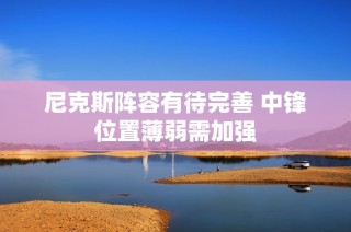 尼克斯阵容有待完善 中锋位置薄弱需加强