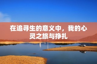 在追寻生的意义中，我的心灵之旅与挣扎