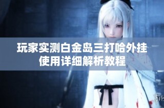 玩家实测白金岛三打哈外挂使用详细解析教程