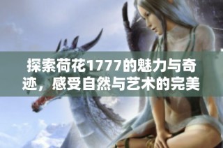 探索荷花1777的魅力与奇迹，感受自然与艺术的完美结合