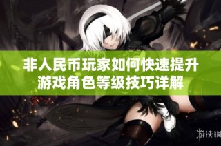 非人民币玩家如何快速提升游戏角色等级技巧详解